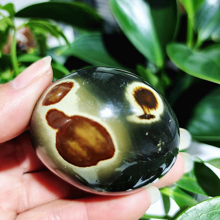 Ocean Jasper Worry Stones - Light Of Twelve