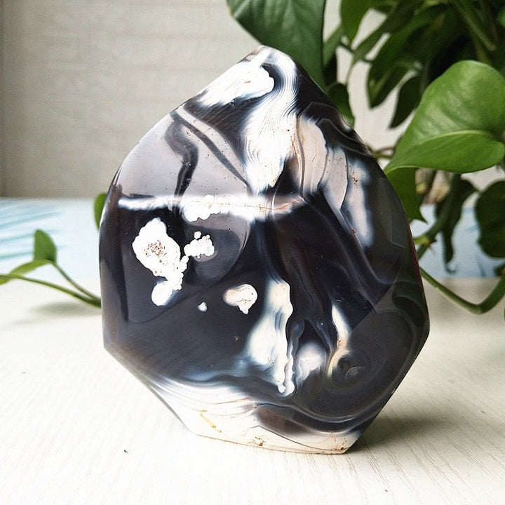 Orca Agate Flame - Light Of Twelve