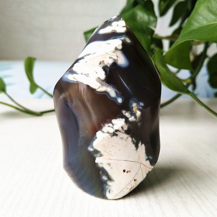 Orca Agate Flame - Light Of Twelve