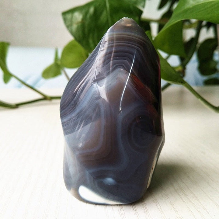 Orca Agate Flame - Light Of Twelve