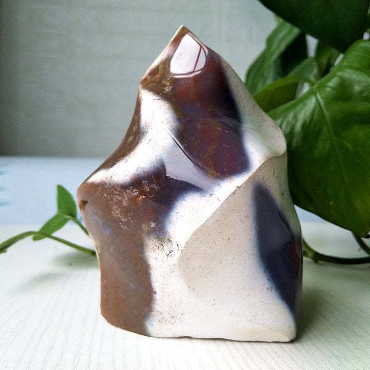 Orca Agate Flame - Light Of Twelve