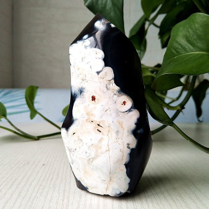 Orca Agate Flame - Light Of Twelve