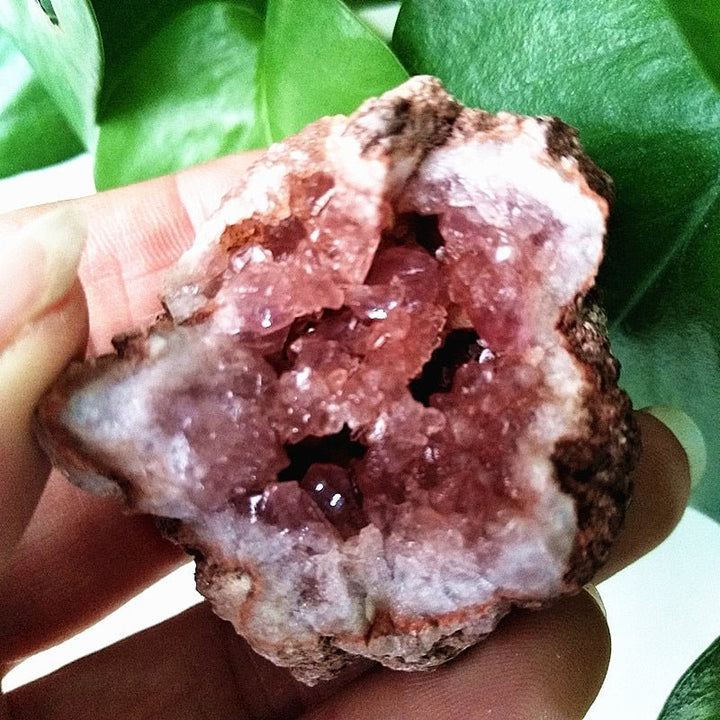 Pink Amethyst Geodes - Light Of Twelve