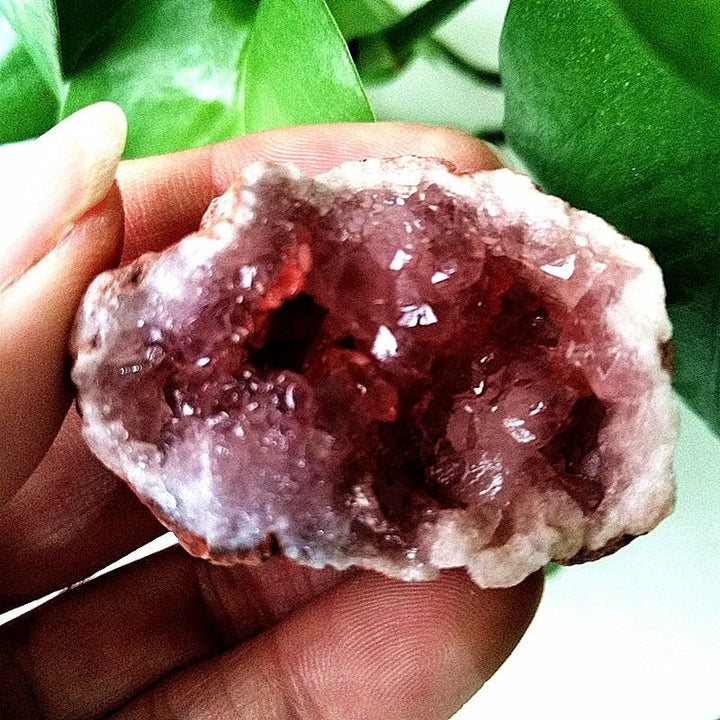 Pink Amethyst Geodes - Light Of Twelve