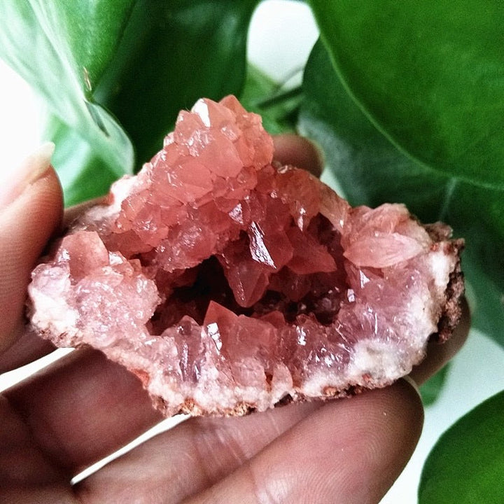 Pink Amethyst Geodes - Light Of Twelve