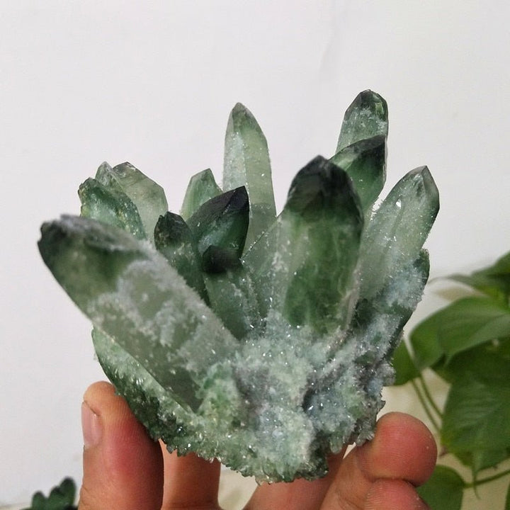 Prasiolite Clusters - Light Of Twelve