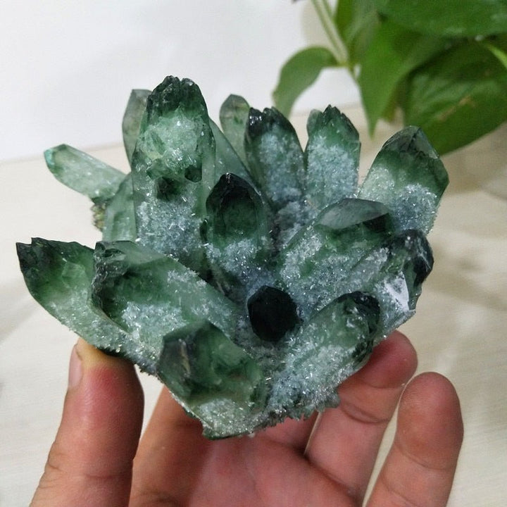 Prasiolite Clusters - Light Of Twelve