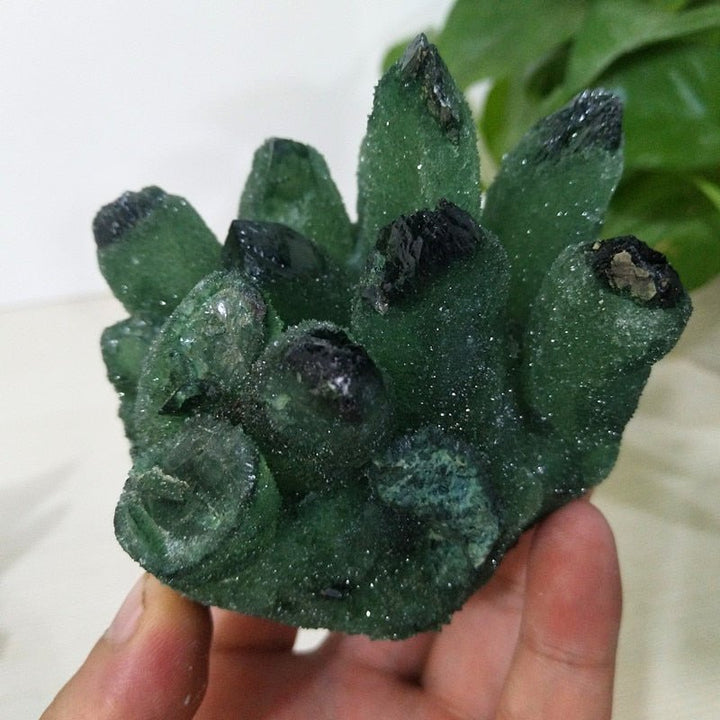 Prasiolite Clusters - Light Of Twelve