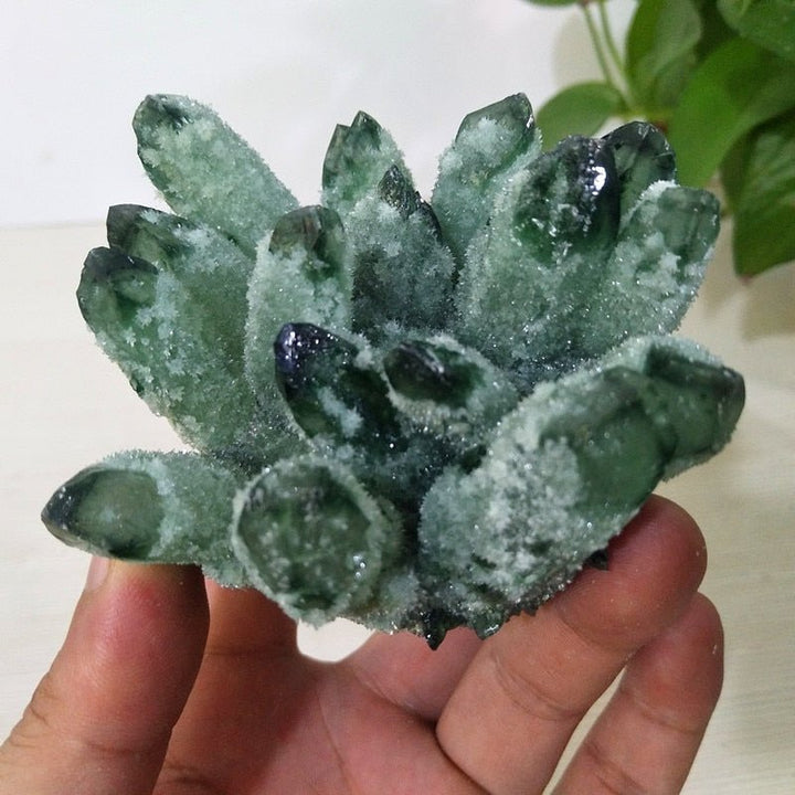 Prasiolite Clusters - Light Of Twelve