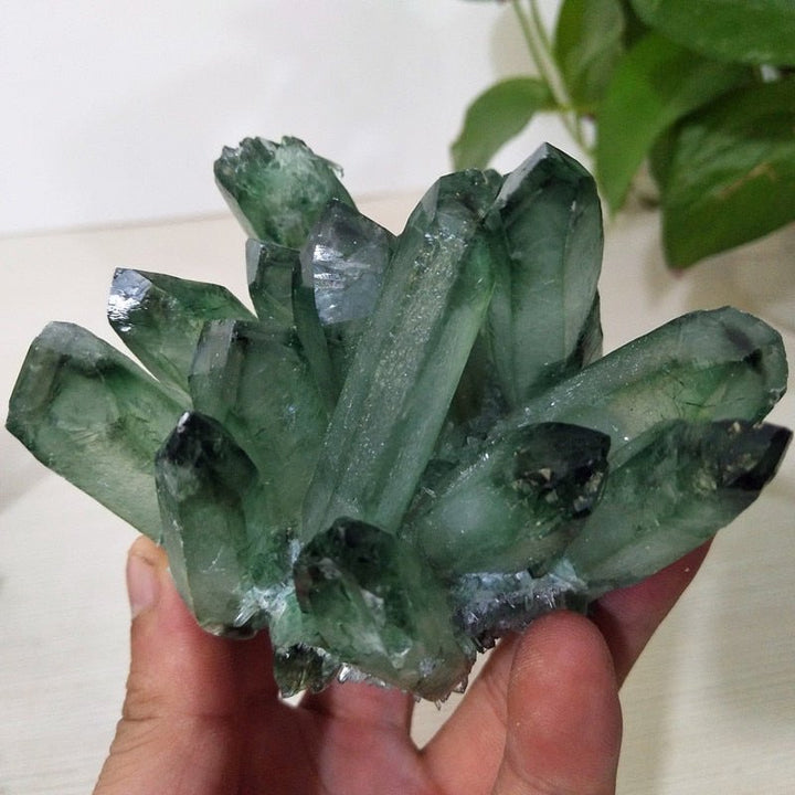 Prasiolite Clusters - Light Of Twelve