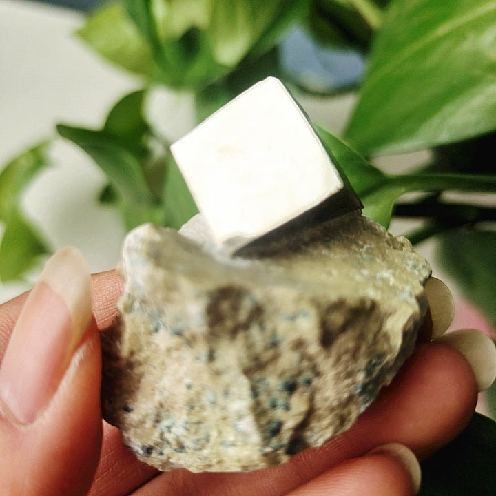 Pyrite in Matrix Specimen - Light Of Twelve