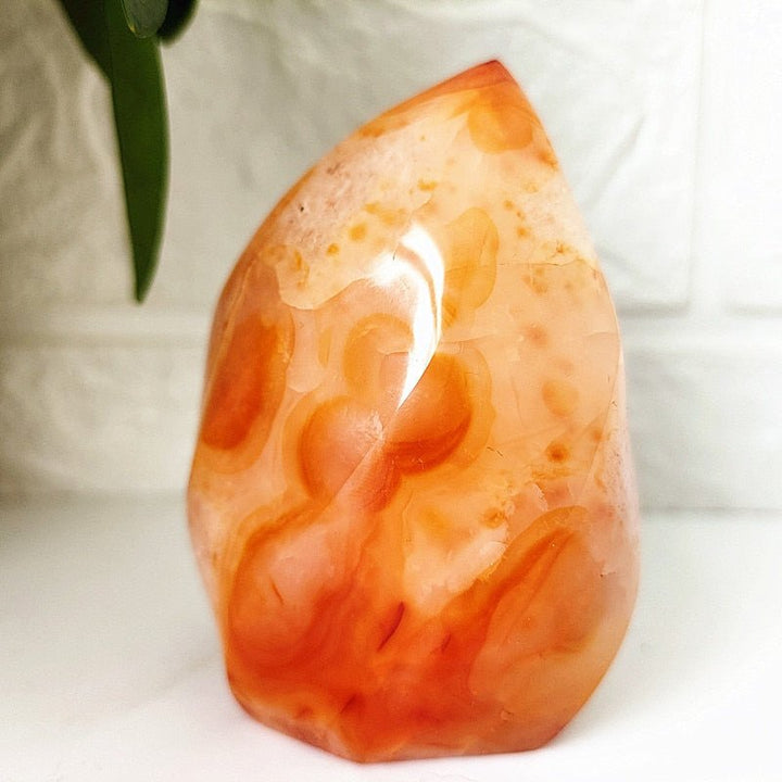 Red Agate Flame - Light Of Twelve
