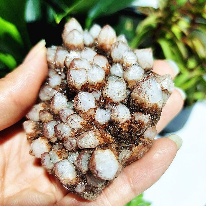 Spirit Quartz Clusters - Light Of Twelve