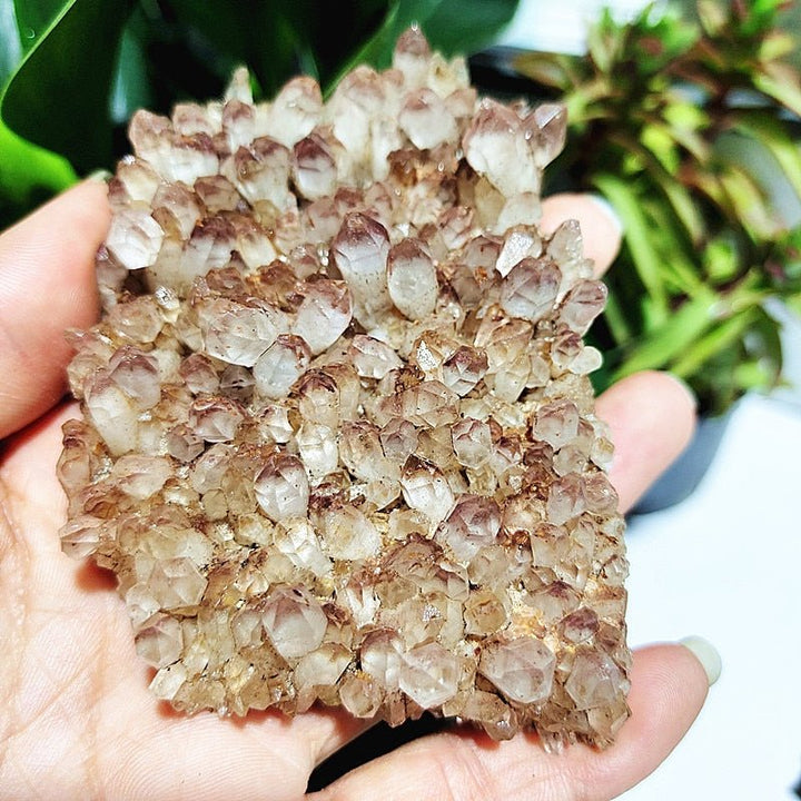 Spirit Quartz Clusters - Light Of Twelve