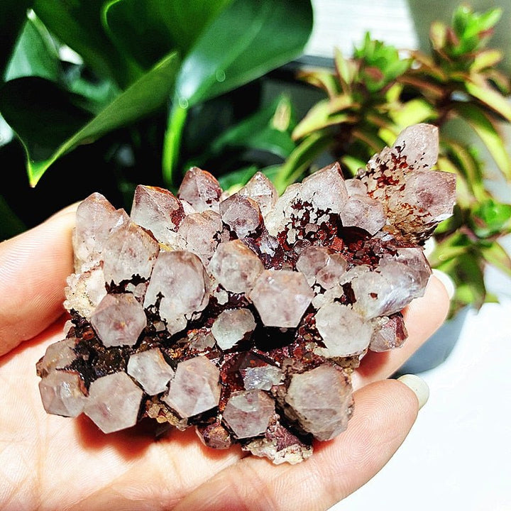 Spirit Quartz Clusters - Light Of Twelve