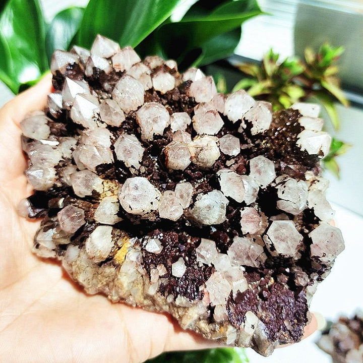 Spirit Quartz Clusters - Light Of Twelve