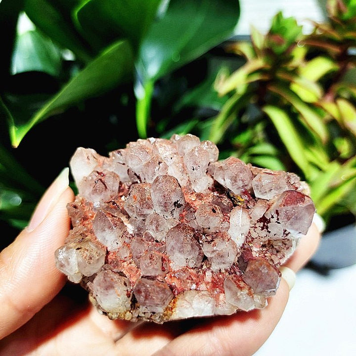 Spirit Quartz Clusters - Light Of Twelve