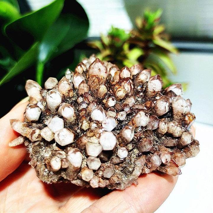 Spirit Quartz Clusters - Light Of Twelve