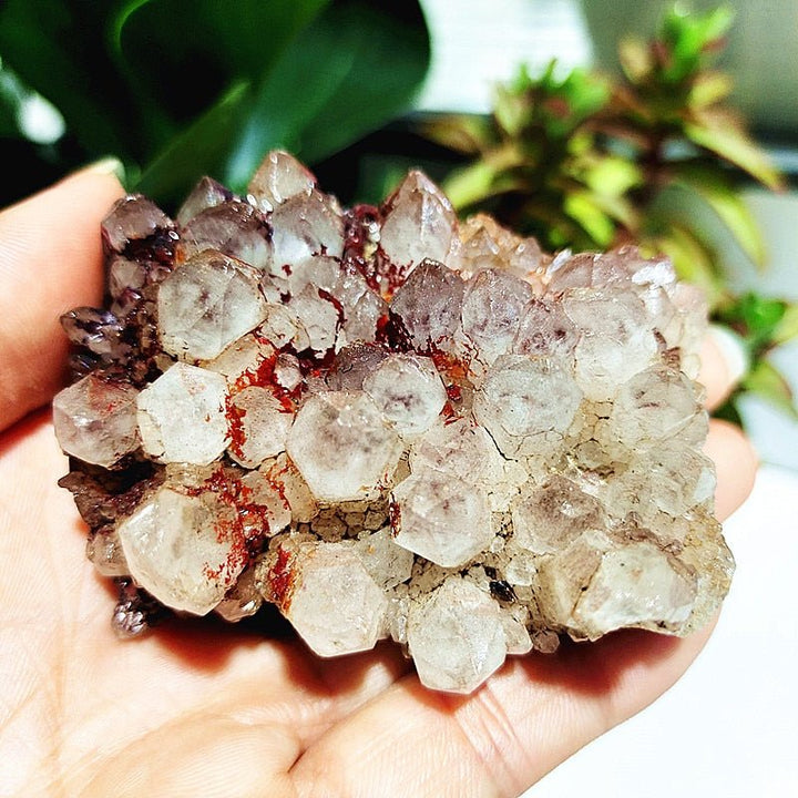 Spirit Quartz Clusters - Light Of Twelve