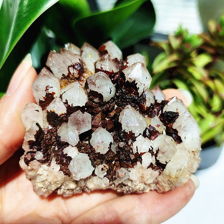 Spirit Quartz Clusters - Light Of Twelve