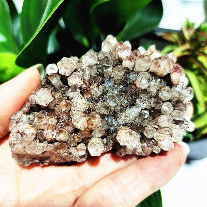 Spirit Quartz Clusters - Light Of Twelve