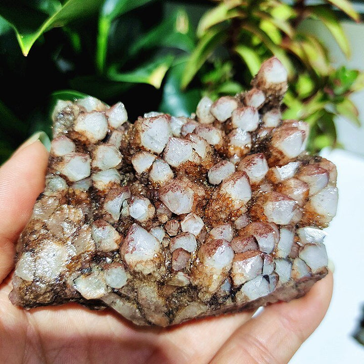 Spirit Quartz Clusters - Light Of Twelve