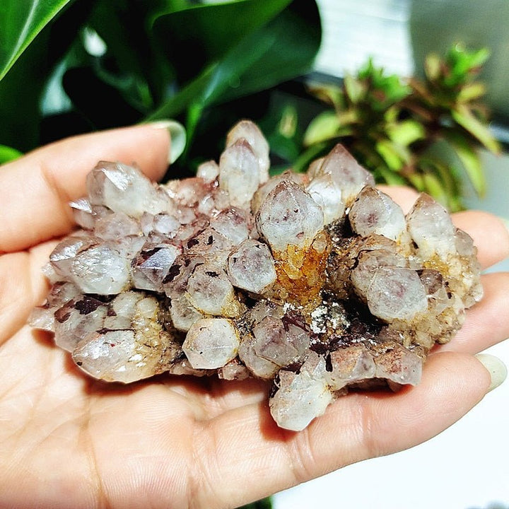 Spirit Quartz Clusters - Light Of Twelve