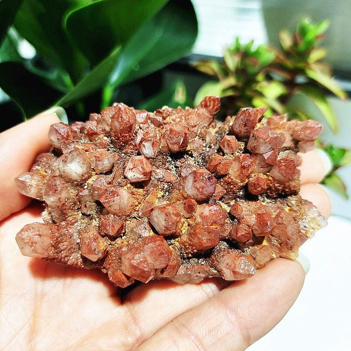 Spirit Quartz Clusters - Light Of Twelve