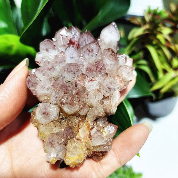 Spirit Quartz Clusters - Light Of Twelve