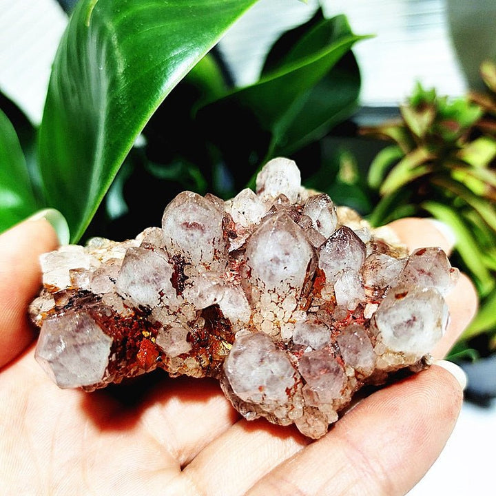 Spirit Quartz Clusters - Light Of Twelve