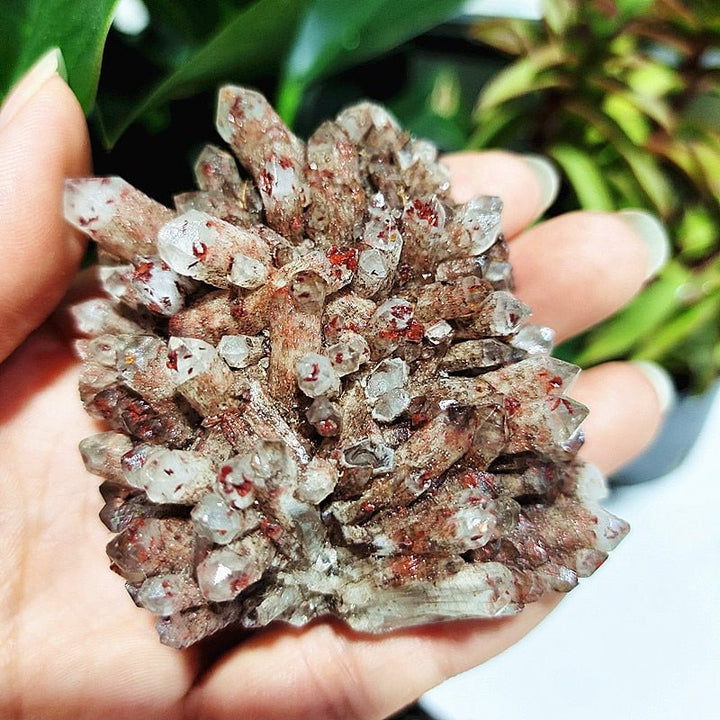 Spirit Quartz Clusters - Light Of Twelve