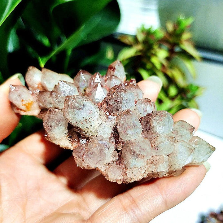 Spirit Quartz Clusters - Light Of Twelve