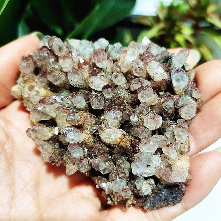 Spirit Quartz Clusters - Light Of Twelve