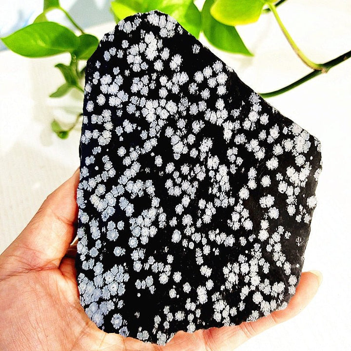 Stunning Snowflake Obsidian Slabs for Balance & Harmony - Light Of Twelve
