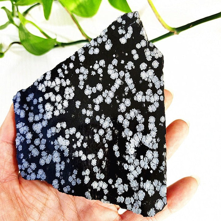 Stunning Snowflake Obsidian Slabs for Balance & Harmony - Light Of Twelve