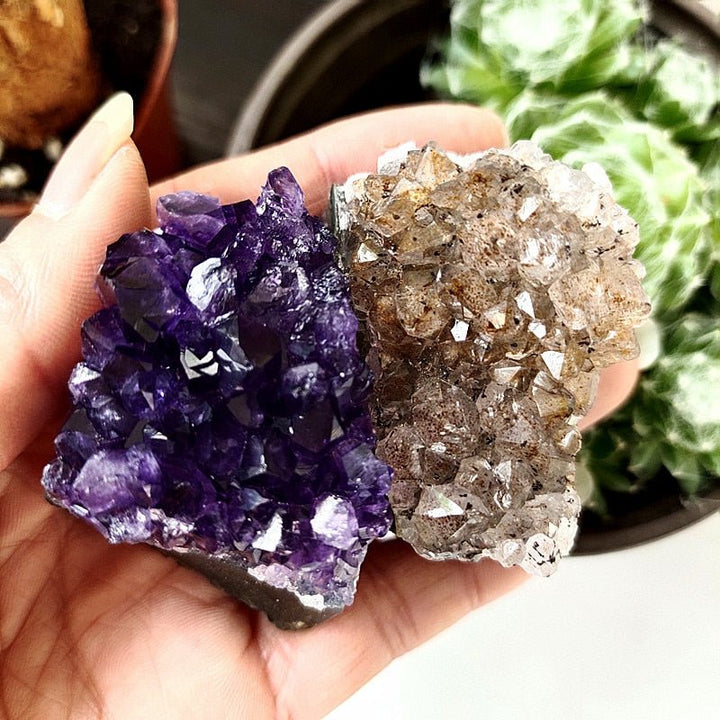 Uruguayan Amethyst Clusters - Light Of Twelve