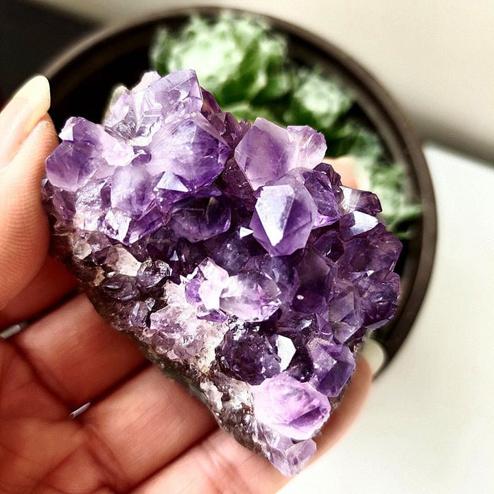 Uruguayan Amethyst Clusters - Light Of Twelve