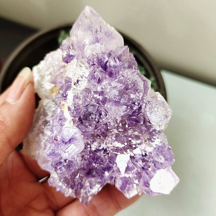 Uruguayan Amethyst Clusters - Light Of Twelve