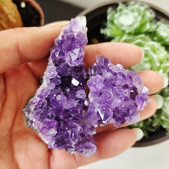 Uruguayan Amethyst Clusters - Light Of Twelve