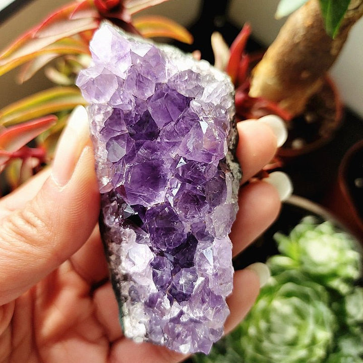 Uruguayan Amethyst Clusters - Light Of Twelve