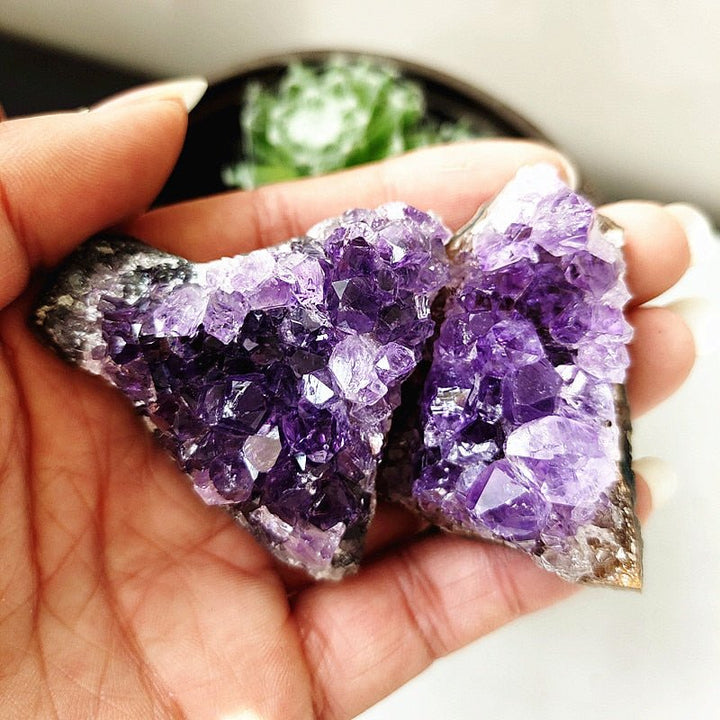 Uruguayan Amethyst Clusters - Light Of Twelve