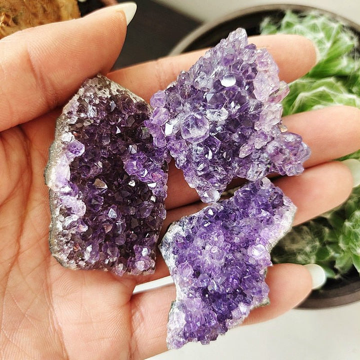 Uruguayan Amethyst Clusters - Light Of Twelve