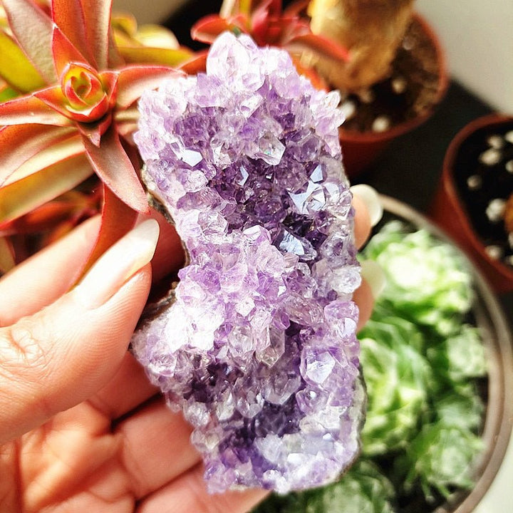 Uruguayan Amethyst Clusters - Light Of Twelve