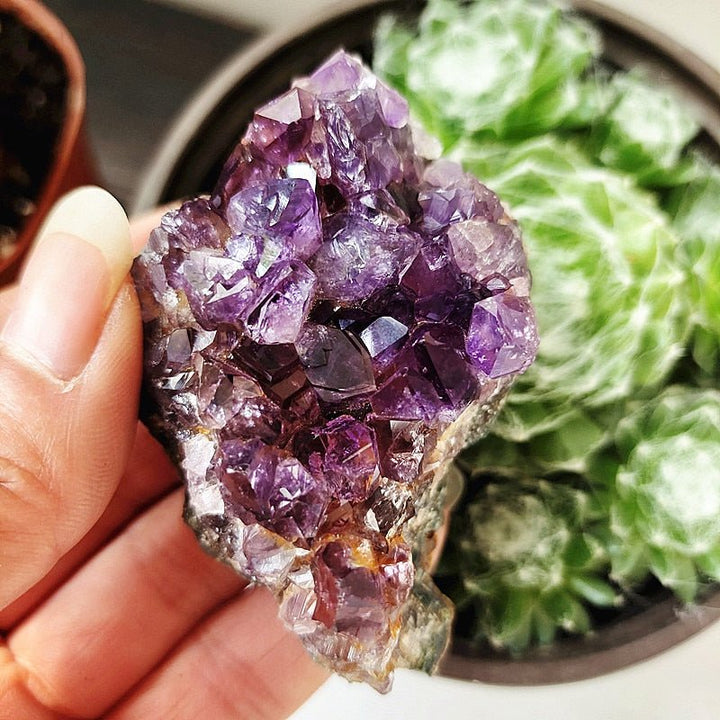 Uruguayan Amethyst Clusters - Light Of Twelve