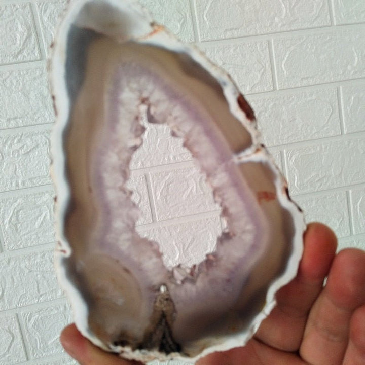 Uruguayan Amethyst Slices - Light Of Twelve