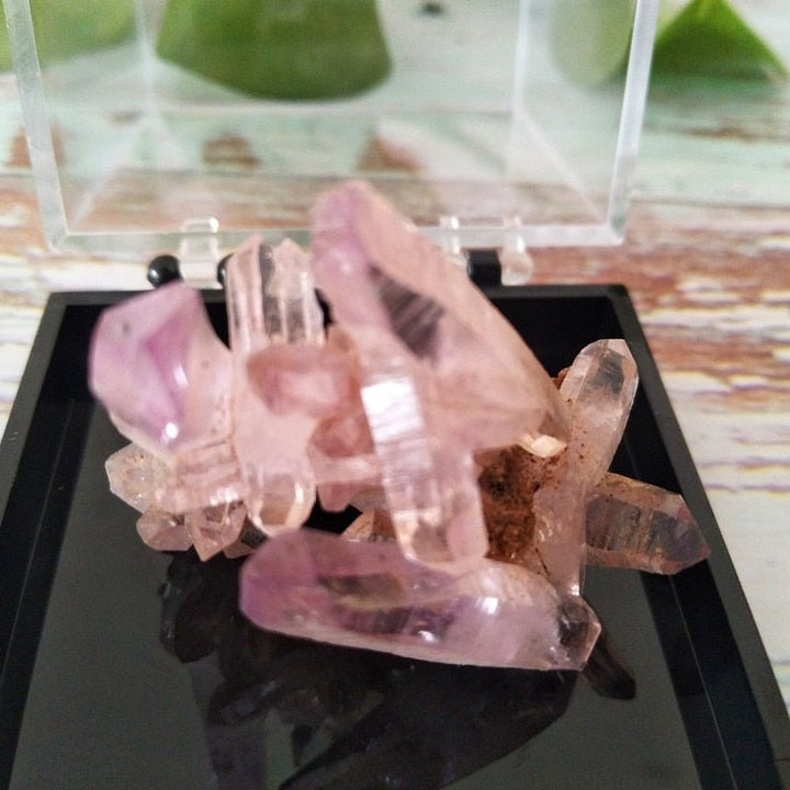 Vera Cruz Amethyst Crystals - Light Of Twelve