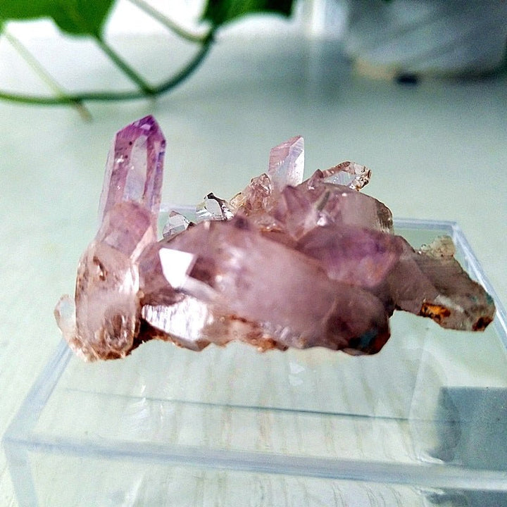 Vera Cruz Amethyst Crystals - Light Of Twelve