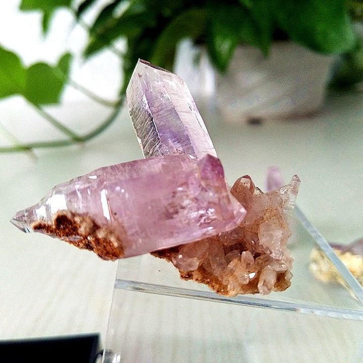 Vera Cruz Amethyst Crystals - Light Of Twelve