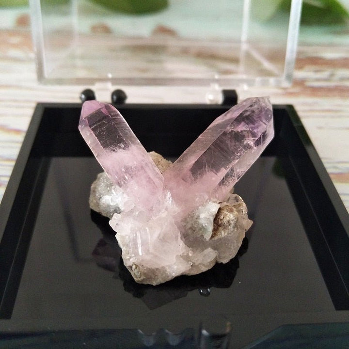 Vera Cruz Amethyst Crystals - Light Of Twelve