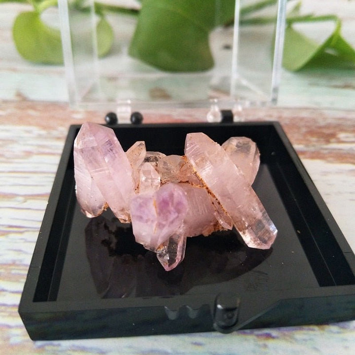 Vera Cruz Amethyst Crystals - Light Of Twelve